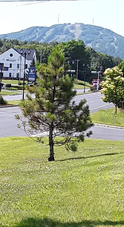 Photo de Andrée Marcotte.