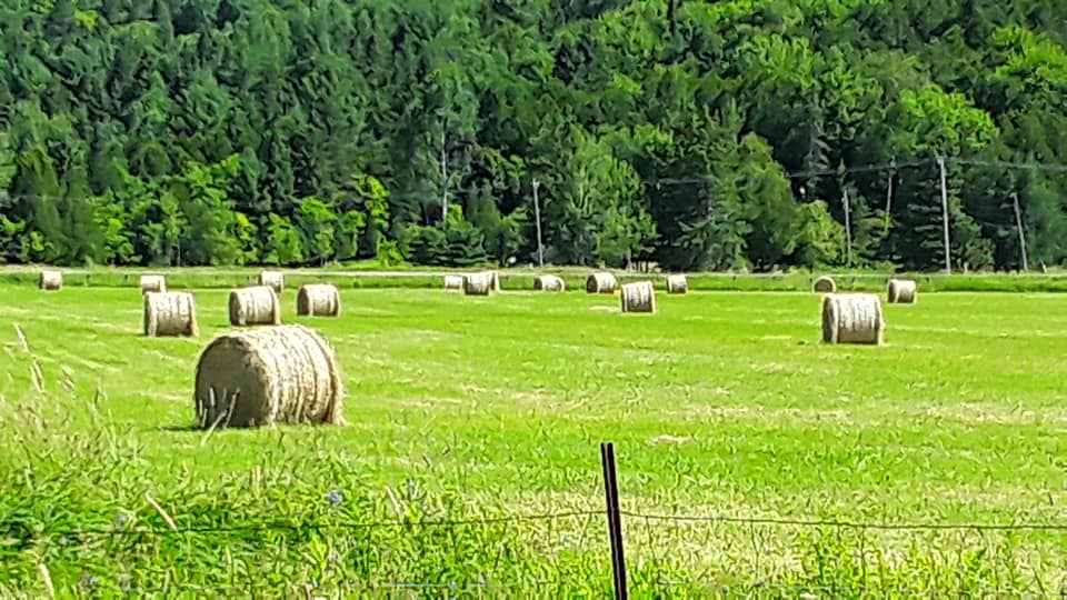 Photo de Andrée Marcotte.