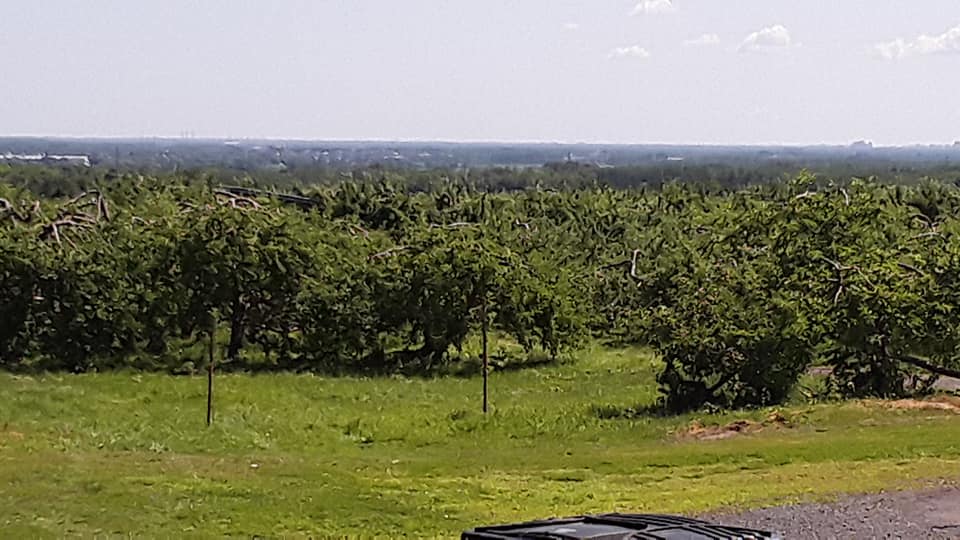 Photo de Andrée Marcotte.