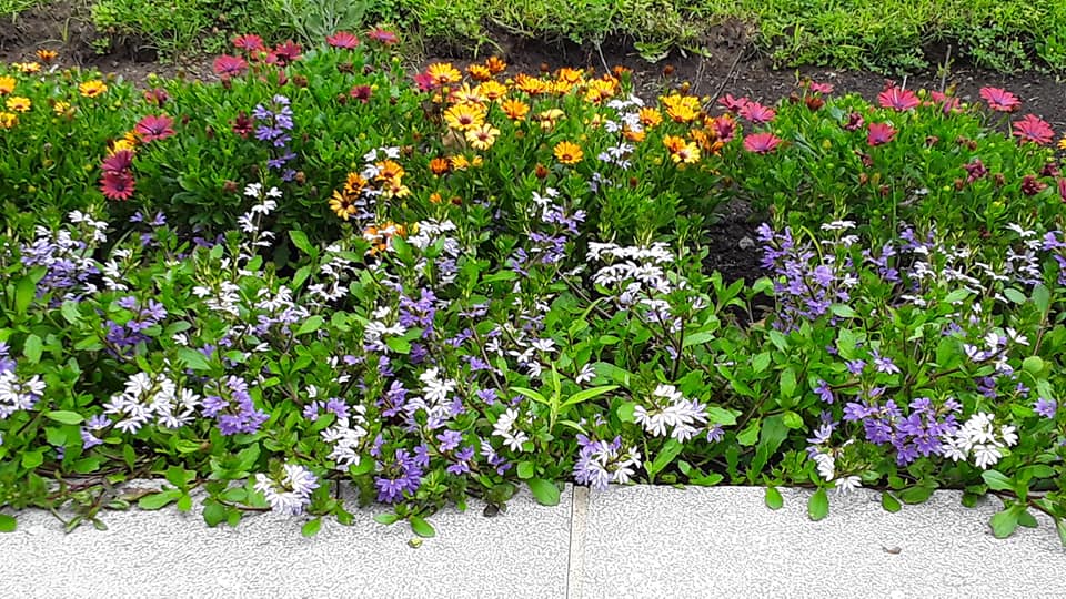 Photo de Andrée Marcotte.