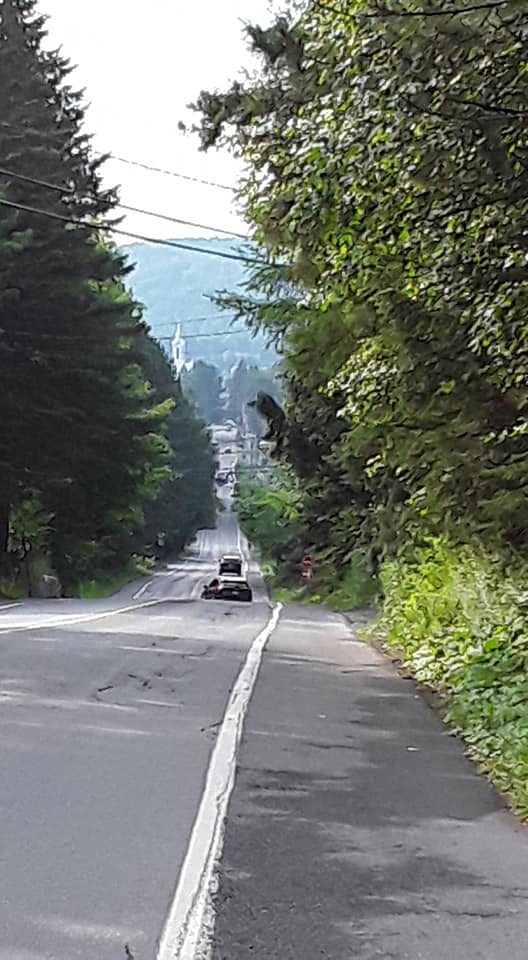 Photo de Andrée Marcotte.