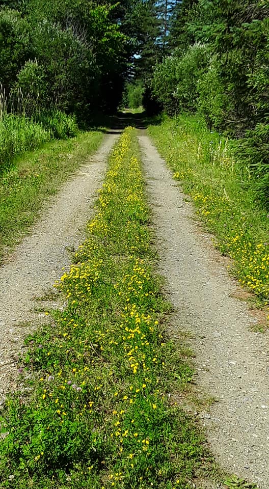 Photo de Andrée Marcotte.