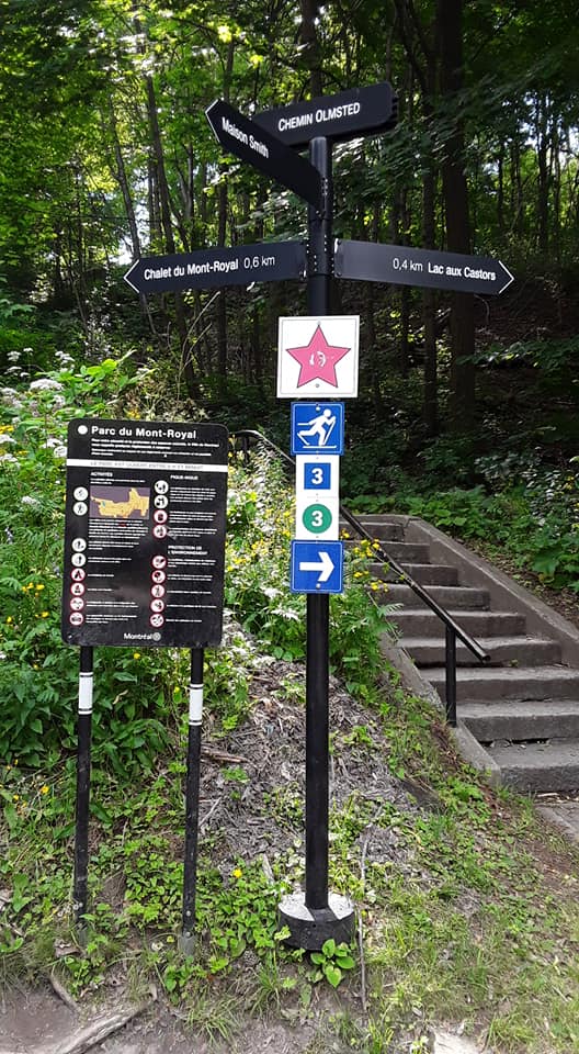 Photo de Andrée Marcotte.