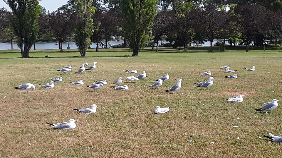 Photo de Andrée Marcotte.