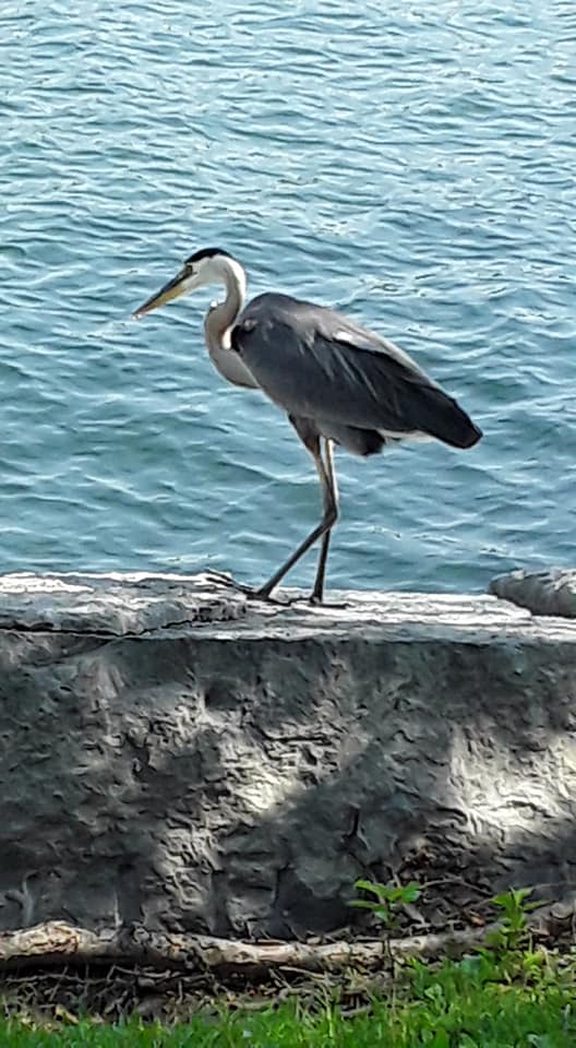 Photo de Andrée Marcotte.