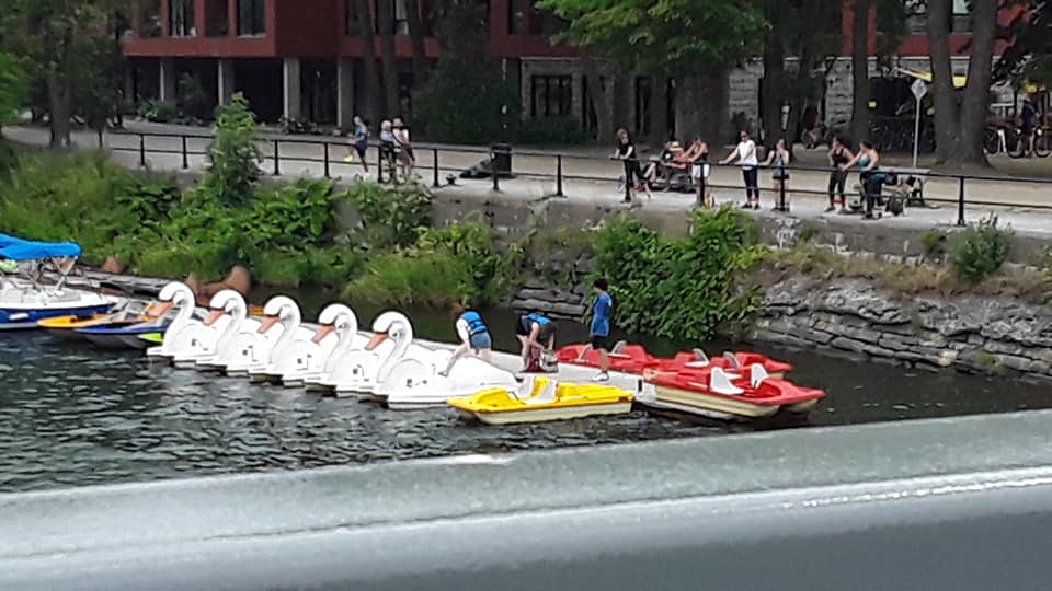 Photo de Andrée Marcotte.